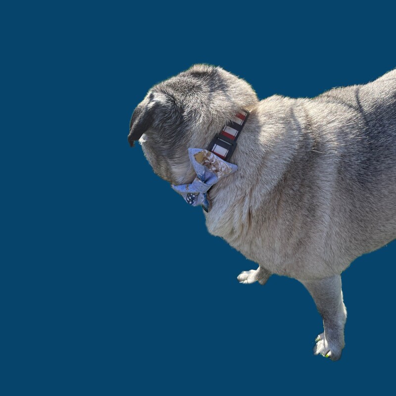 Custom dog bow sales ties